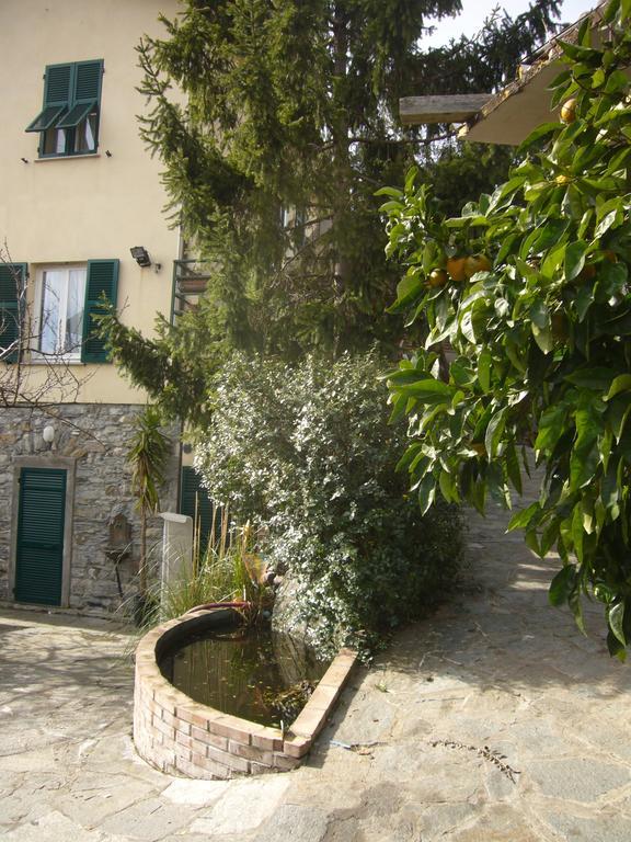 Agriturismo Olivarancio Leivi Exterior photo