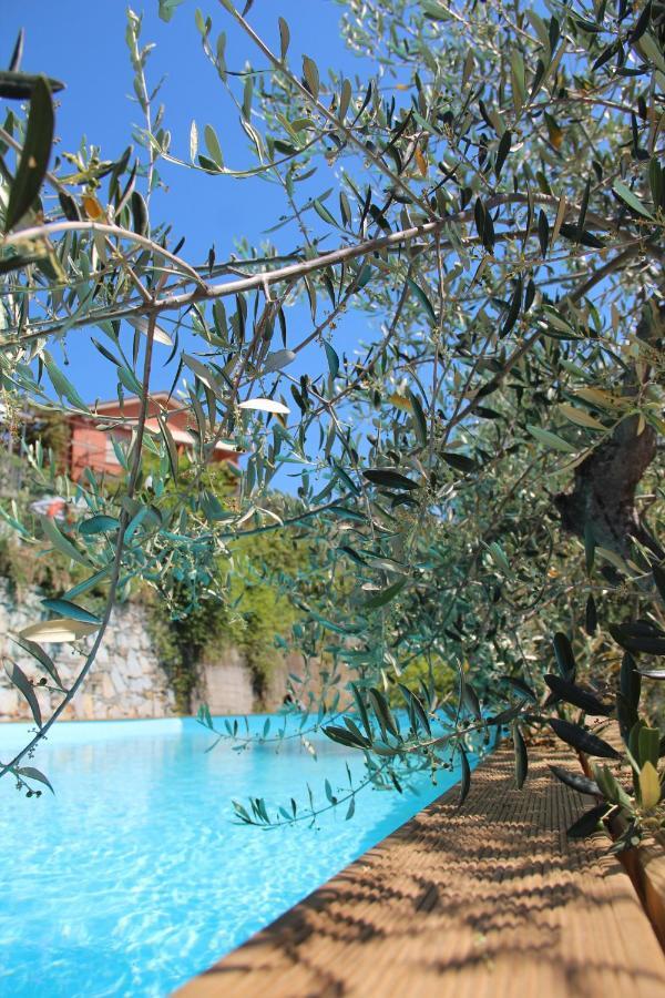 Agriturismo Olivarancio Leivi Exterior photo